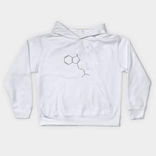 DMT Molecule Kids Hoodie